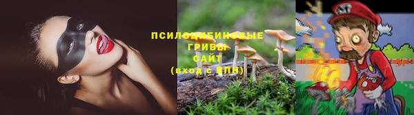 дживик Медвежьегорск