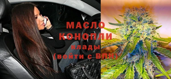 гашик Мегион