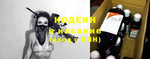 гашик Мегион