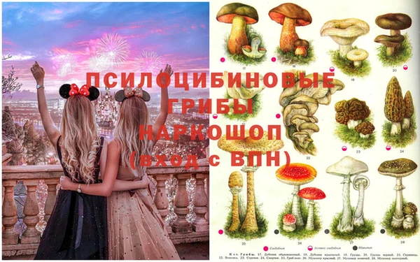 дживик Медвежьегорск