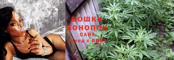 гашик Мегион