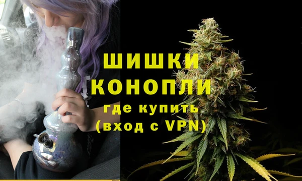 дживик Медвежьегорск