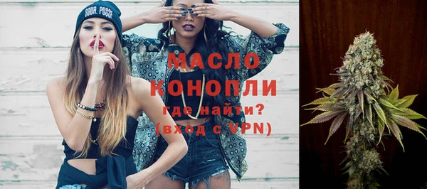 гашик Мегион
