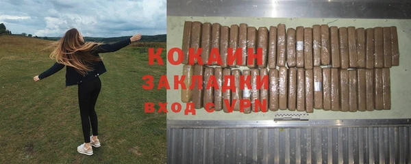 гашик Мегион
